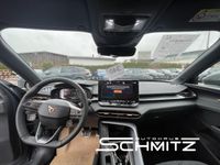 Cupra Terramar - Vorschau Bild 7