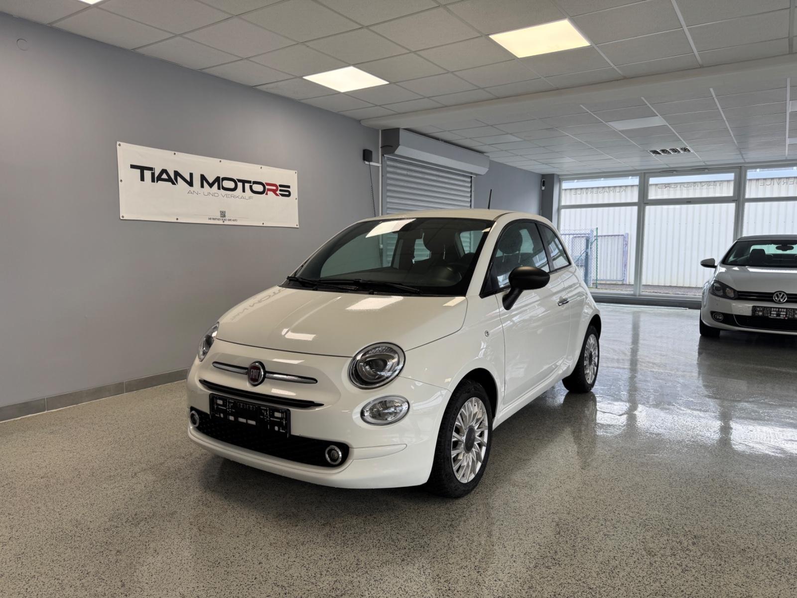 Fiat 500 Basis