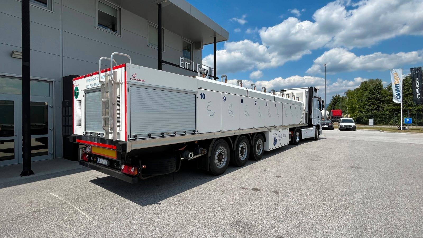 Other live fish pesce vivo poisson vivant fisch