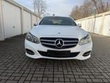 Mercedes-Benz Mercedes Benz E220 CDI Bluetec Avantgarde ... - Mercedes-Benz E 220: Cdi Avantgarde