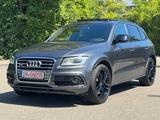 Audi SQ5 3.0 TDI competition quattro Panorama Carbon - Audi SQ5 aus 2017