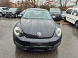 Volkswagen Beetle Lim. Fender Edition-XENON-KLIMA-SHZ-PDC - Volkswagen Beetle: Fender Edition