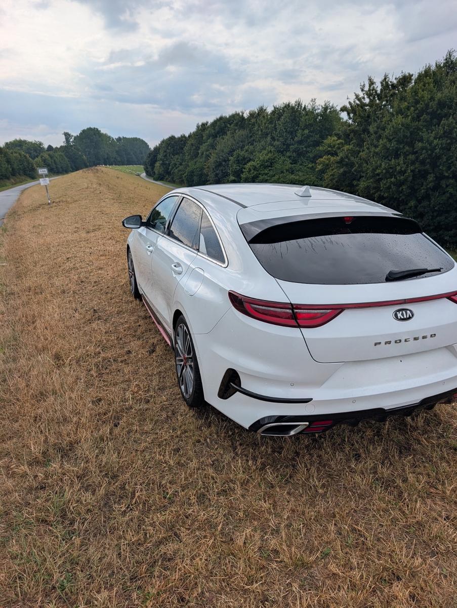 Kia pro_cee'd / ProCeed 1.6 T-GDI DCT GT GT