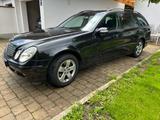 Mercedes-Benz E 240 E -Klasse T-Modell E 240 T - Mercedes-Benz E 240: Kombi