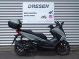 Honda NSS 125 Forza ABS * 5.500km * 1. Hand * - HONDA ROLLER 50