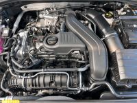 Seat Leon ST 1.5 eTSI DSG FR *10 JAHRE HERSTELLERGAR* bei Autohaus Landmann & Maier OHG
