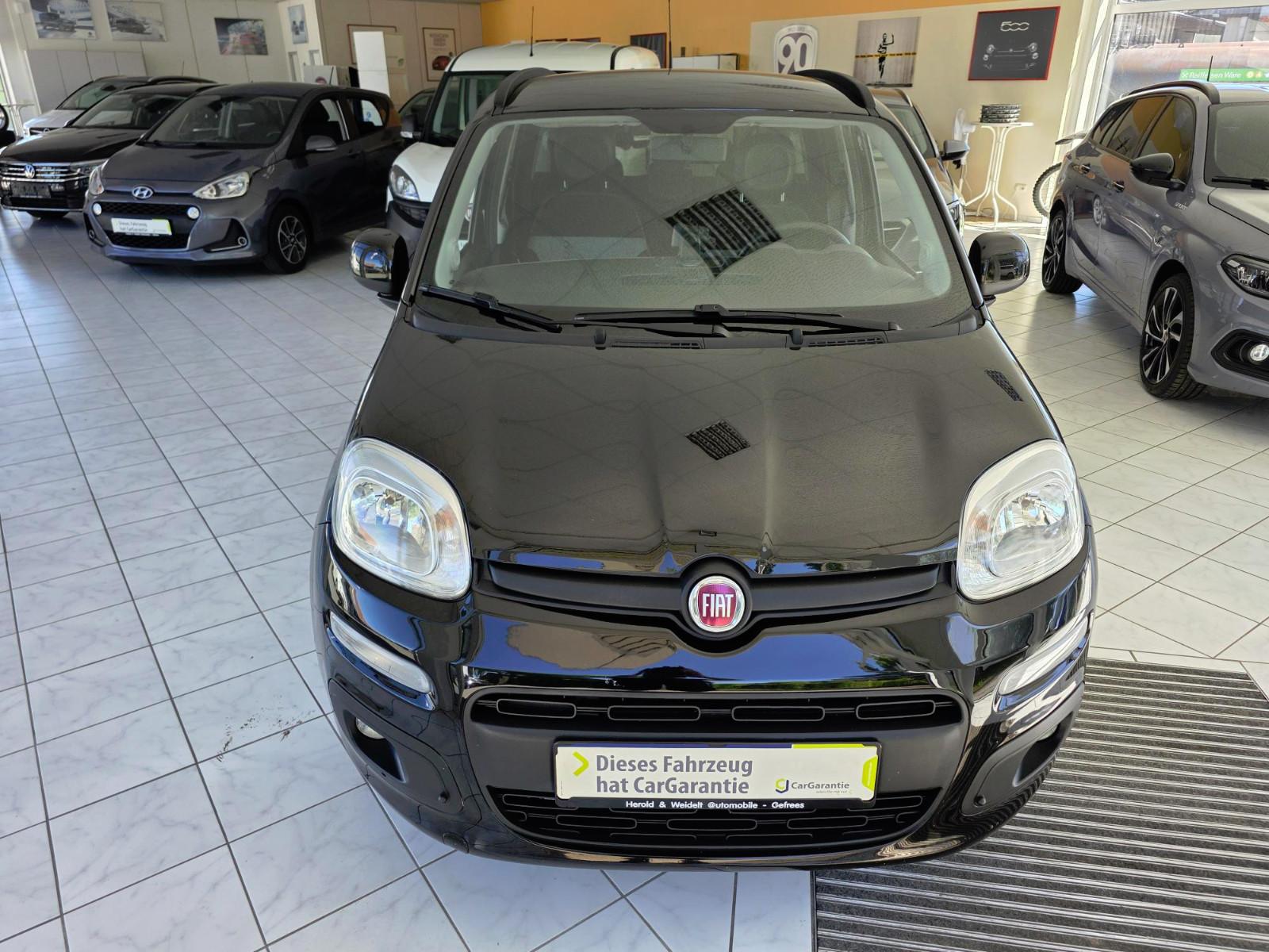 Fiat Panda Lounge Sitz- und Frontscheibenheizung