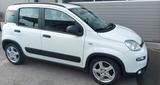Fiat Panda City Life, Mild-Hybrid, Szh., Klima, PDC - gebrauchte Fiat Panda aus dem Jahr 2022