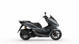 Honda PCX 125 DX Gray Metallic - Sofort verfügbar - - HONDA PCX125 DX