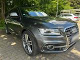 Audi SQ5 3.0 TDI Apple-Car ; Glas-SD; Stan... - Audi SQ5 Gebrauchtwagen in Stuttgart