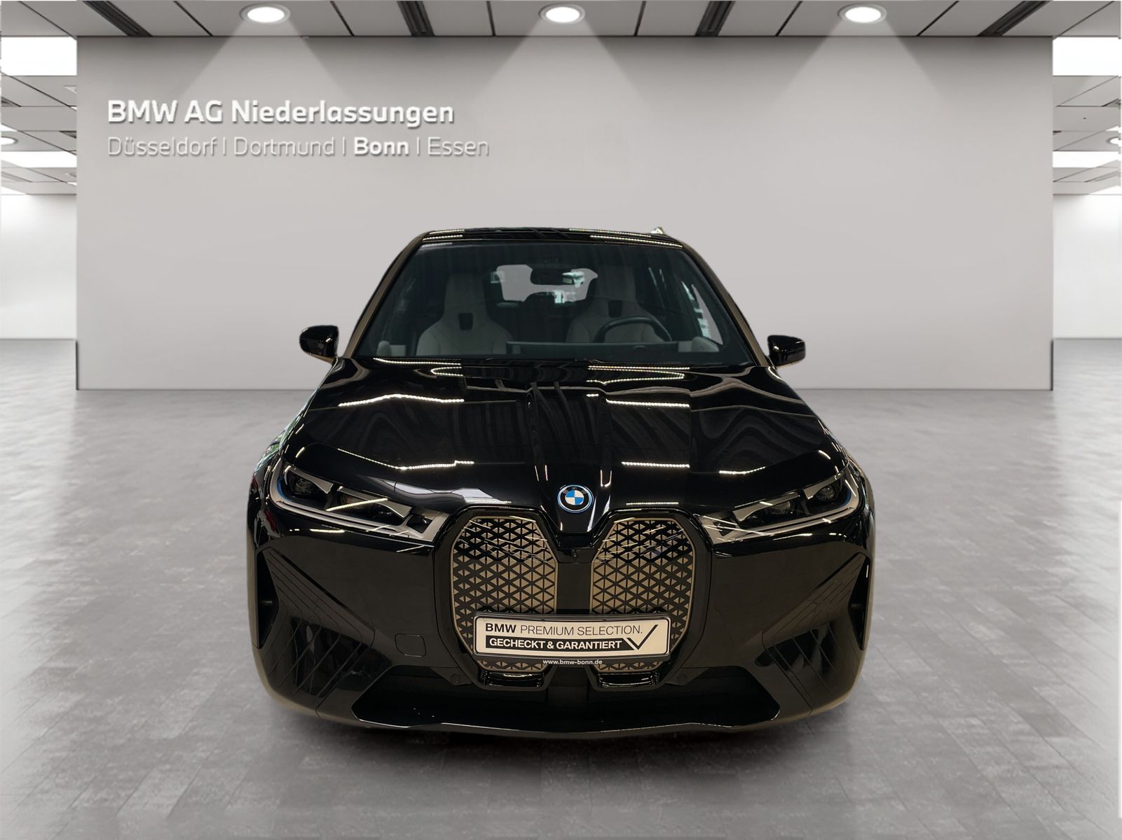 BMW iX - Bild 9