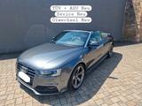 Audi Cabriolet - Audi Cabriolet: Leder
