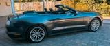 Ford Mustang Cabriolet - Ford Mustang in Halle