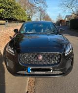 Jaguar E-Pace P250 R-DYNAMIC HSE AWD Auto R-DYNAMIC HSE - Jaguar in Köln