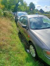 Nissan Almera - Nissan Almera: Kleinwagen