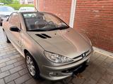 Peugeot 206 CC Roland Garros 110 Roland Garros - Peugeot 206: Leder