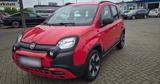 Fiat Panda Cross 1,2 - Fiat Panda Gebrauchtwagen in Aachen