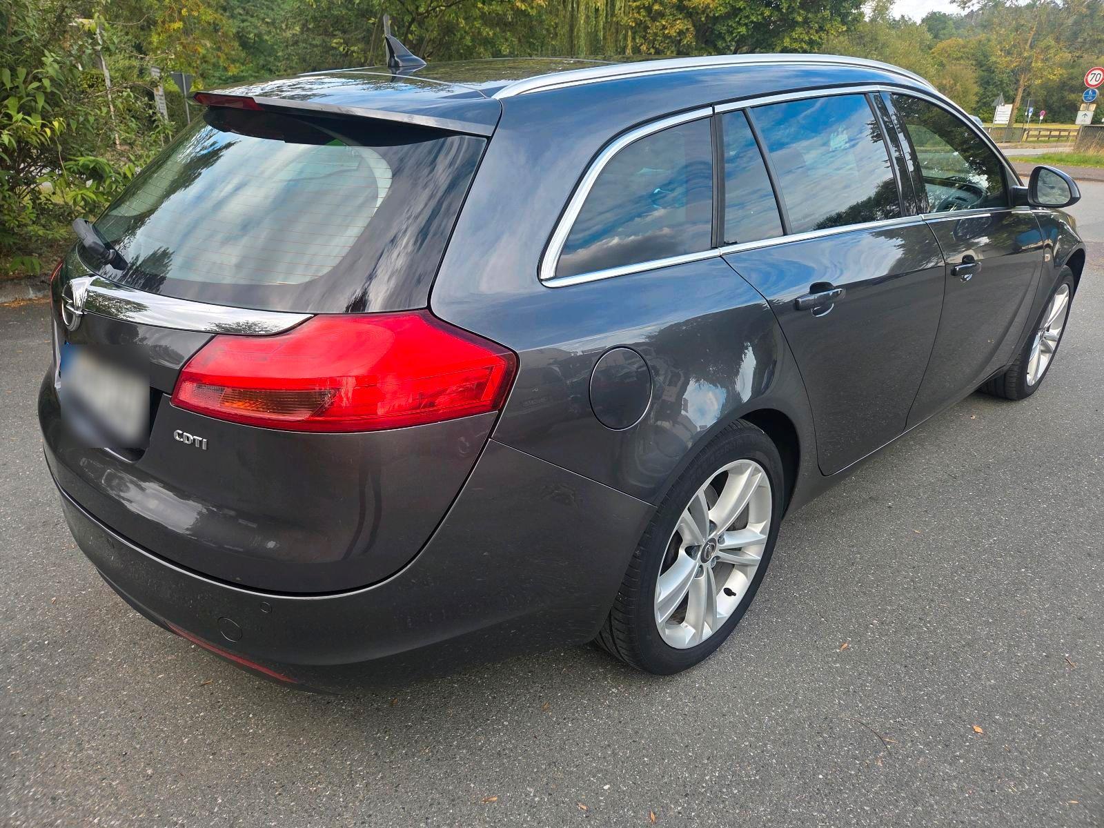 Opel Insignia 2010 — rear view