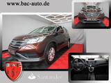 Honda CR-V Comfort 2WD 1-Hand 57TKM - Honda Gebrauchtwagen in Osnabrück