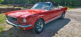 Ford Mustang Cabrio  - Ford Gebrauchtwagen von 1966