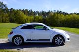 Volkswagen Beetle 2.0 TDI Sport Sport - Volkswagen Beetle mit Diesel-Antrieb