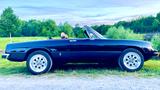 Alfa Romeo Spider - Alfa Romeo Oldtimer