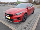 Kia XCeed 1.5 T-GDI Edition 7 Infrarot metallic - Kia XCeed in Duisburg