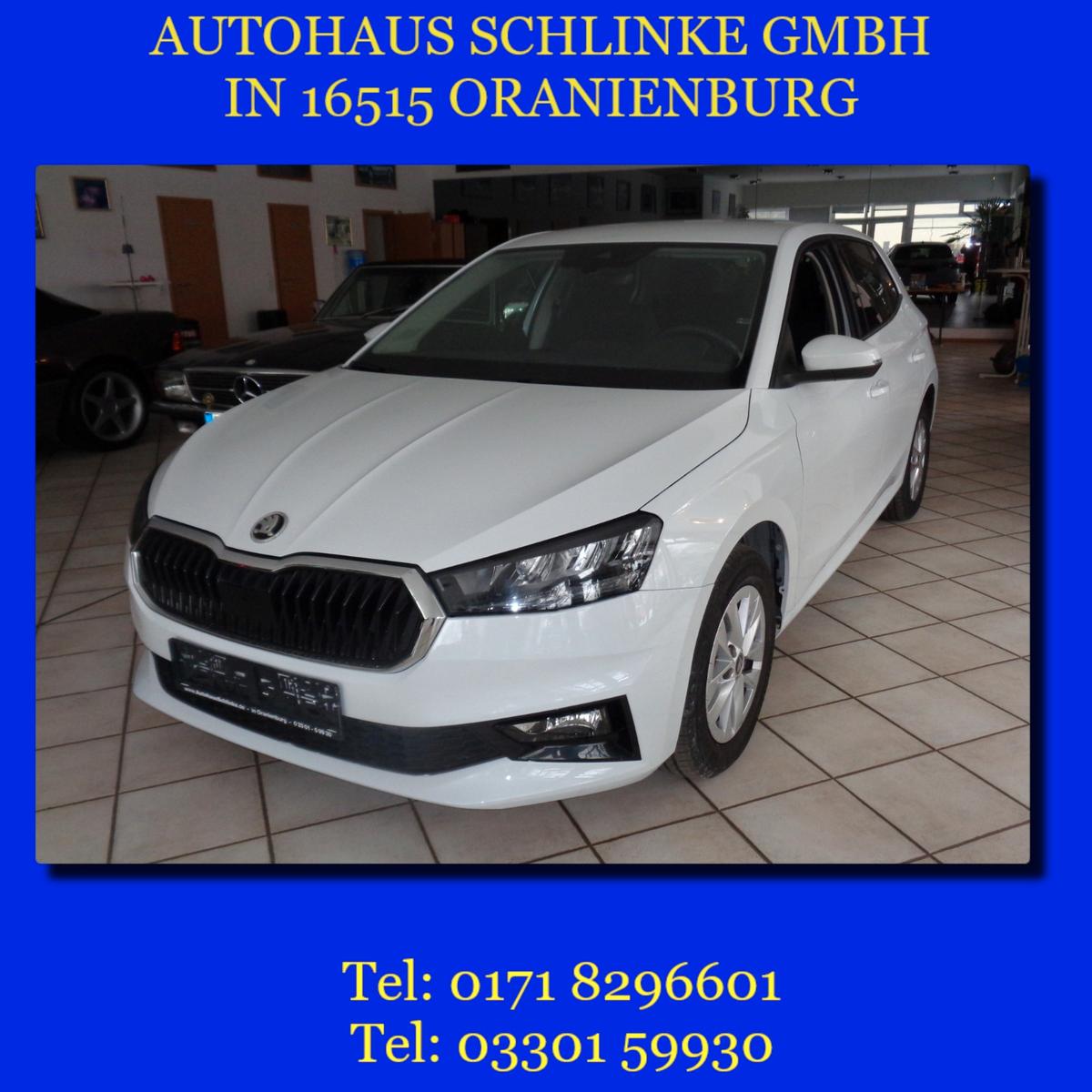 Skoda Fabia 1.0 DSG DESIGN 116PS PDC SHZ KLIMA LED SML
