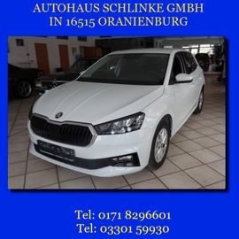 Fotografie Skoda Fabia 1.0 DSG DESIGN 116PS PDC SHZ KLIMA LED SML