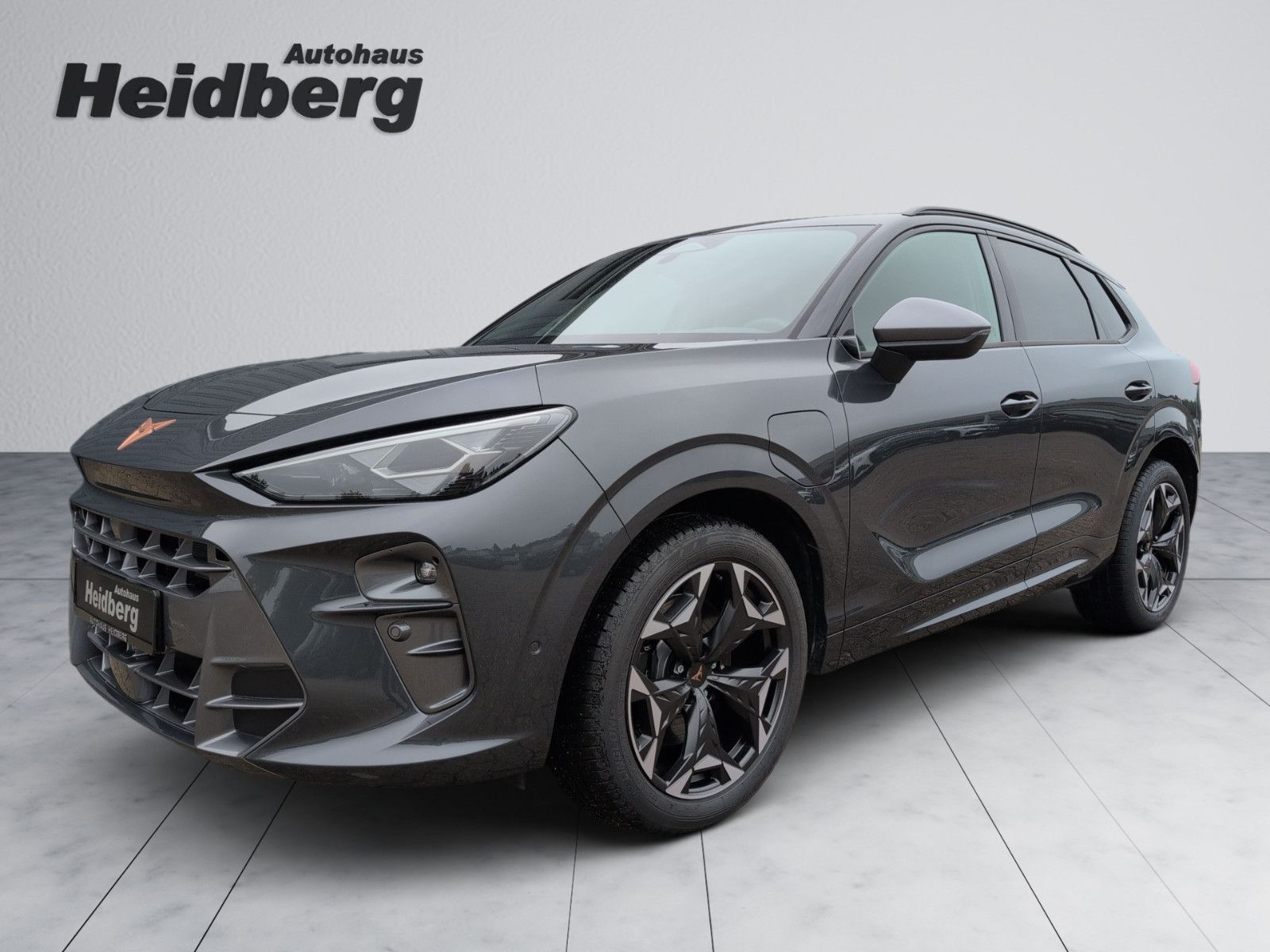 Cupra Terramar eTSI VZ Plug in Matrix HuD AHK-schw 19" imagem 3