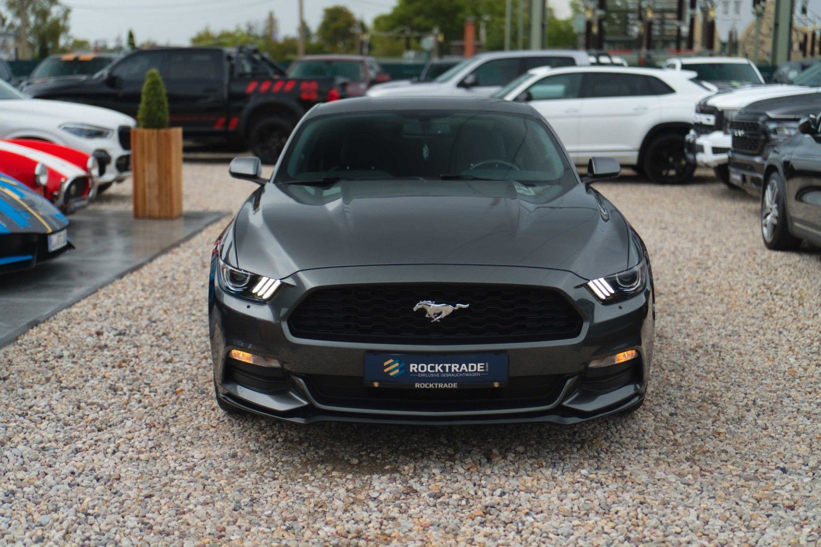 Fahrzeugabbildung Ford Mustang 3.7 V6 GT Coupe 19Zoll | Xenon | Kamera