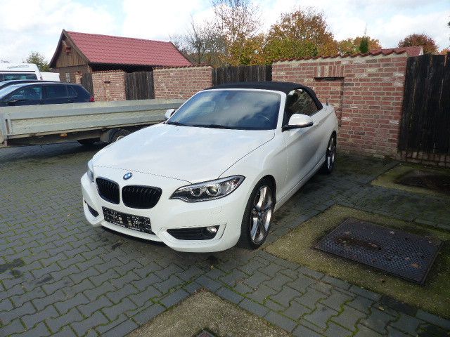 BMW 218 Baureihe 2 Cabrio 218 i