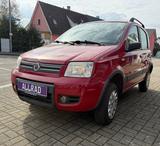 Fiat Panda 1.3 JTD Climbing 4X4 Klima Allrad - Fiat Panda mit Diesel-Antrieb: 1.3