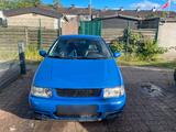 Volkswagen VW Polo 6N Colour Concept 1.6 - Volkswagen Polo: Colour Concept
