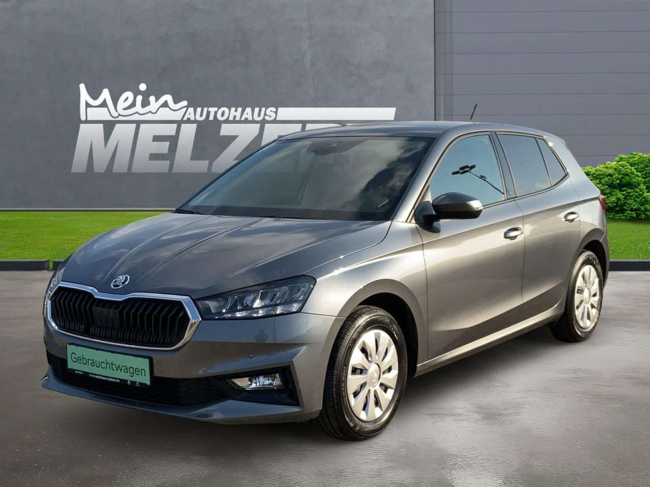 Skoda Fabia SELECTION 1.0 TSI WSS BEHEIZT+SHZ+PDC+GRA