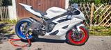 Yamaha R6 RJ15 reines Rennstreckenbike - YAMAHA 2009 R1