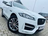 Jaguar F-Pace F-PACE R-Sport AWD *LEDER*PANORAMADACH* - Jaguar F-Pace aus 2017