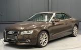 Audi A5 Cabrio 2.0 TFSI quattro*LEDER*NAVI*XENON*KAME - Audi A5 aus 2011: Cabrio