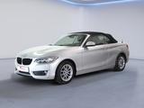 BMW Cabrio 220 i Advantage/Bi-Xenon/Navi/ Alu - BMW 220 in Chemnitz