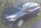 Ford Fiesta 1,25 60kW Trend Trend - Ford Fiesta aus 2010: 1.6