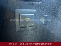 Cupra Ateca - Vorschau Bild 20