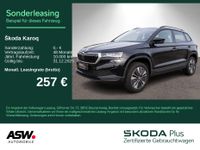 Skoda Karoq - Vorschau Bild 1