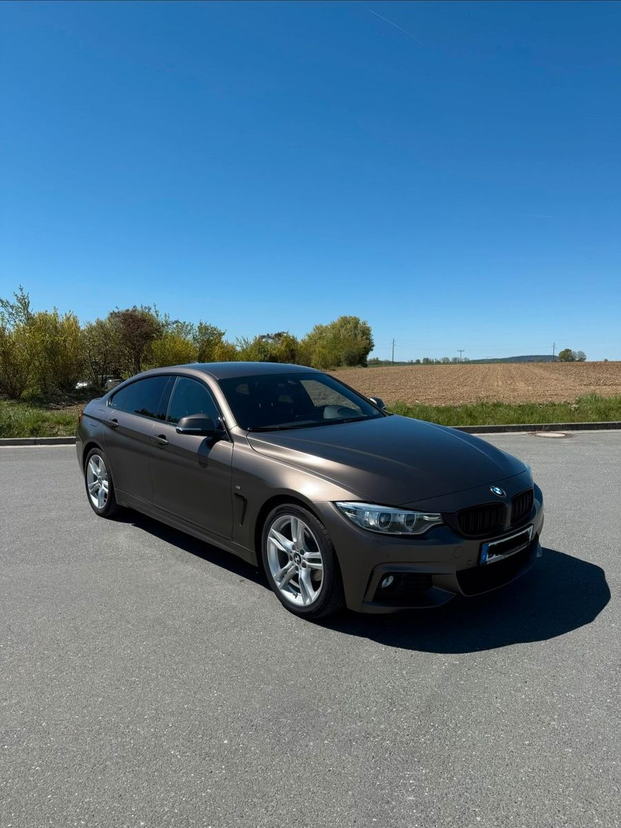 BMW BMW 420i Gran Coupé M Paket Frozen Metalli...