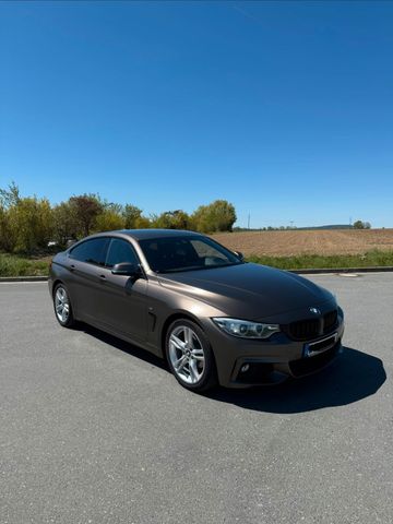 BMW BMW 420i Gran Coupé M Paket Frozen Metalli...