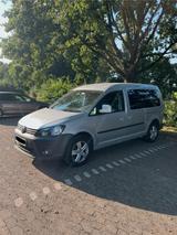 Volkswagen Caddy Maxi - Volkswagen Caddy Maxi in Braunschweig