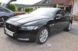 Jaguar XF 25t 250PS Prestige Automatik  - Jaguar XF mit Benzin-Antrieb