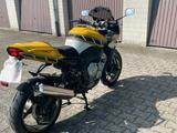 Yamaha FZ1 Fazer ABS limited Edition - Einzelstück  - YAMAHA FZ1 FAZER