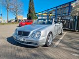 Mercedes-Benz Clk 230 Kompressor Cabrio AMG - Mercedes-Benz CLK 230 in Dortmund