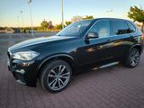 BMW X5 xDrive30d Panoramadach Anhängerkupplung  - BMW X5: 30d