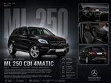 Mercedes-Benz ML 250 CDI 4Matic *NAV*KLIM*BXEN*LDR*S-DACH*TWT* - schwarze Mercedes-Benz ML 250